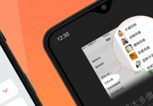 向日葵远控 APP
