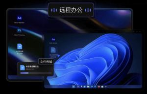 向日葵APP下载