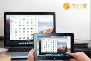 向日葵远控操作软件